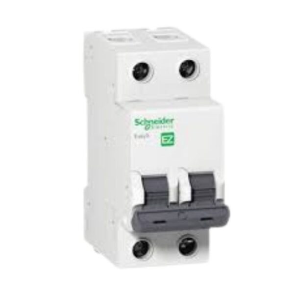 Disjuntor Bipolar Ez9F33240 K32 2X40A Schneider